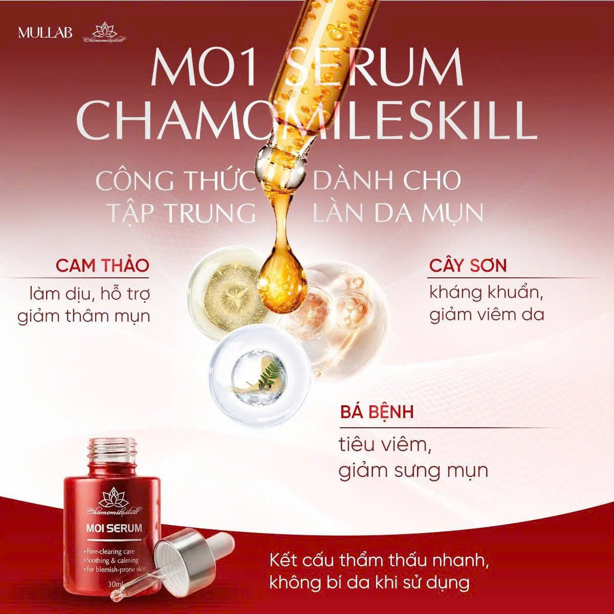 Thuốc trị mụn đông y Chamomile